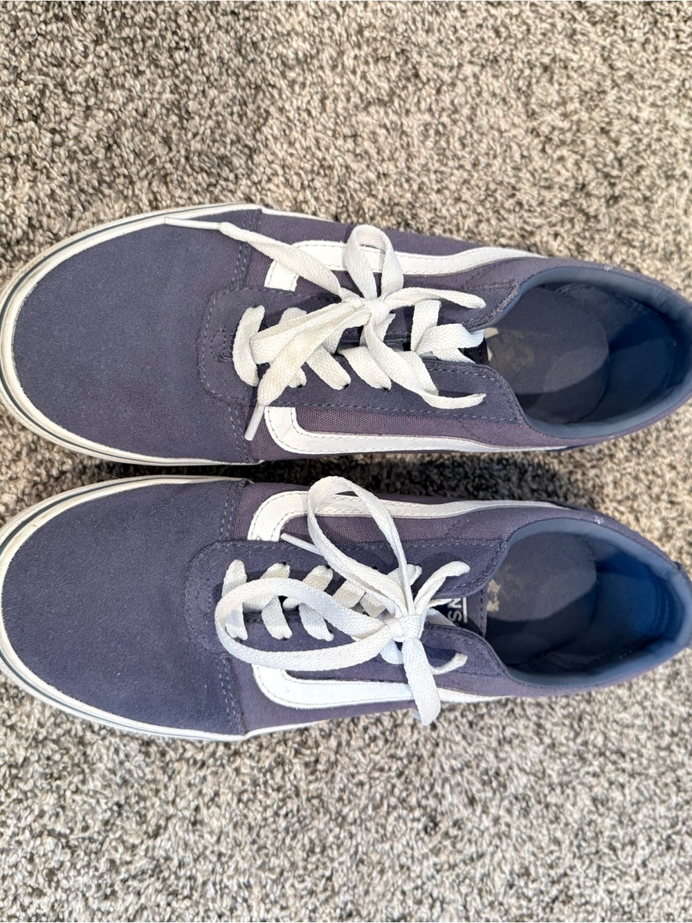 Vans Women's Navy Canvas Low-Top Sneakers with White Stripe